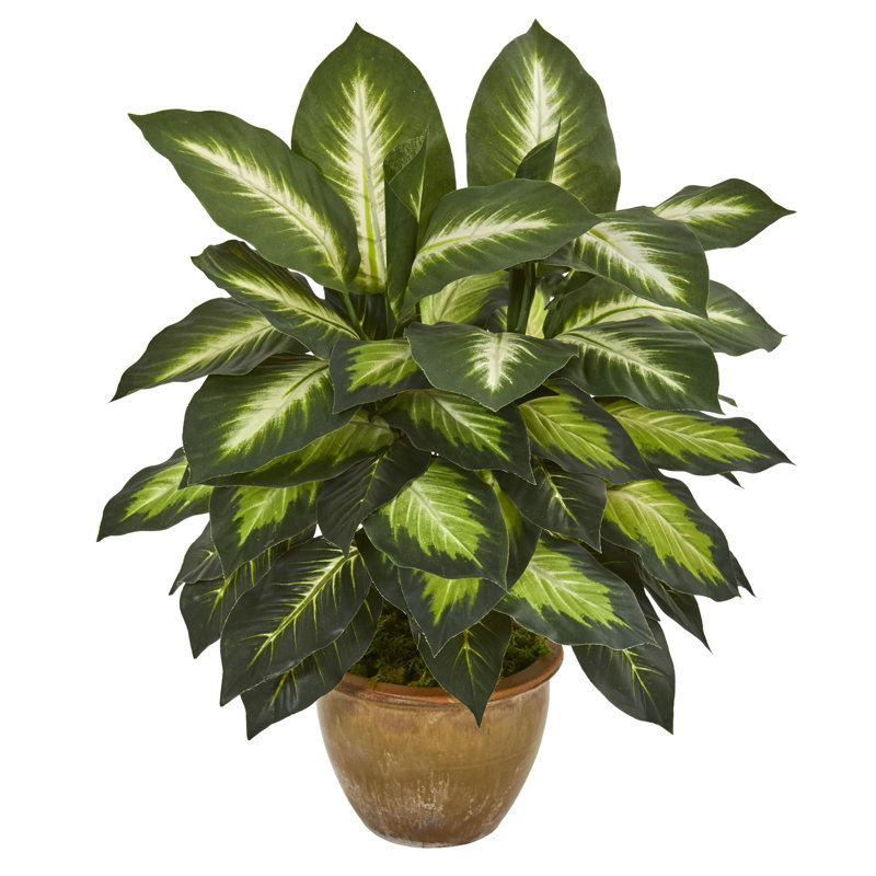 Winston Porter 13" Artificial Foliage Plant in Pot & Reviews Wayfair